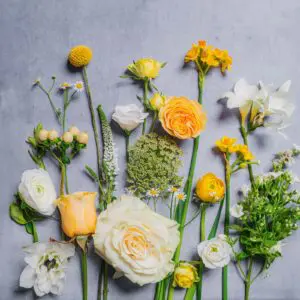 BUTTERCUP_gobotanica_flatlay-03-06-24.jpg