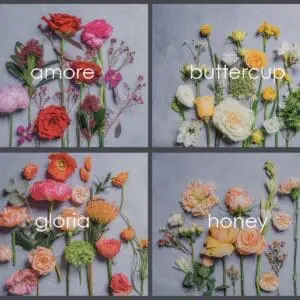 Funeral-palettes.jpg Funeral-palettes.jpg