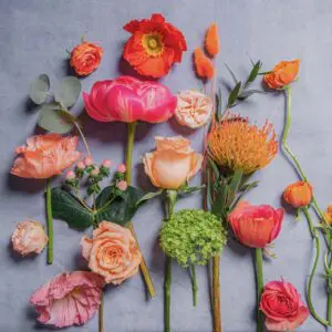 GLORIA_gobotanica_flatlay-03-06-24.jpg