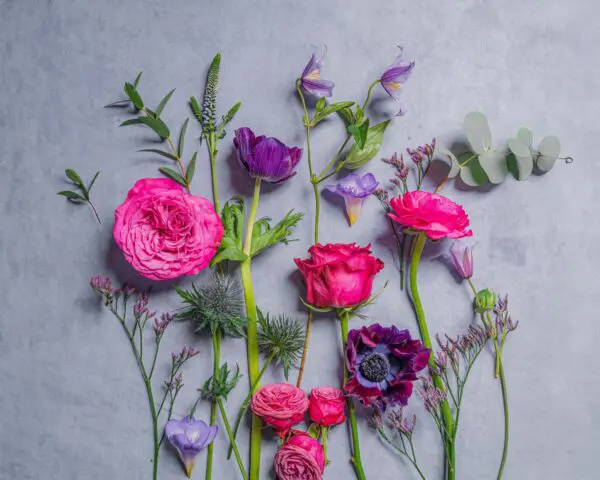 VIOLET_gobotanica_flatlay-03-06-24.jpg