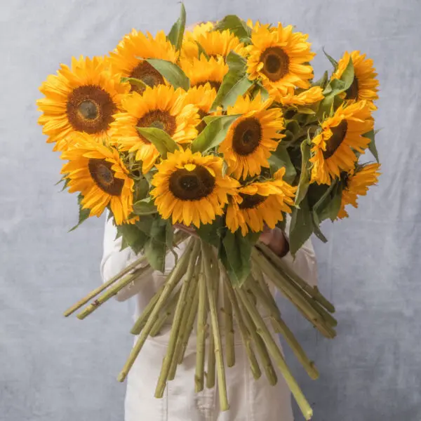 gobotanica_sunny-bouquet